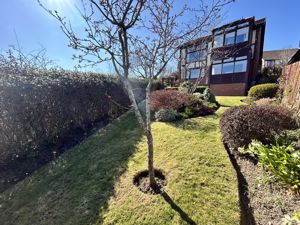 Photo 28- click for photo gallery